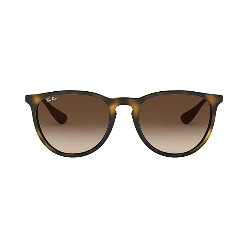 Ray-Ban Women's Erika Sunglasses